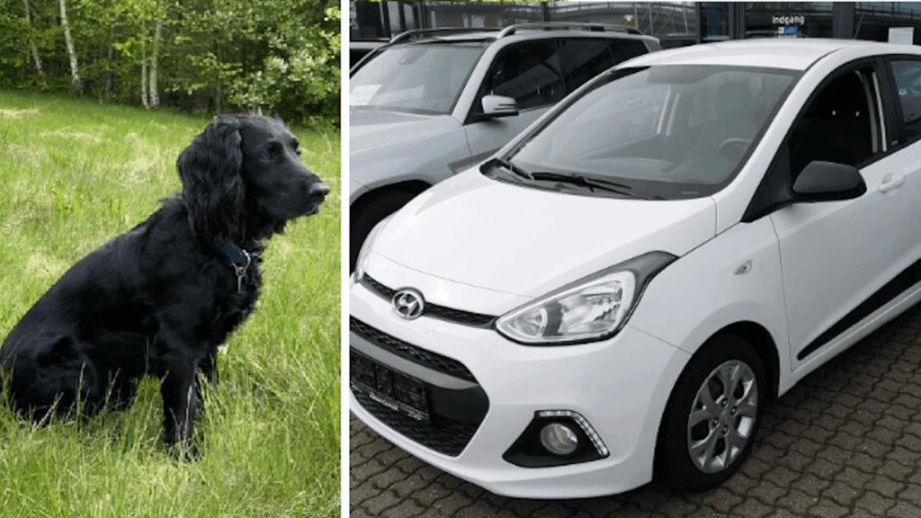 Police are calling for stolen car with dog in