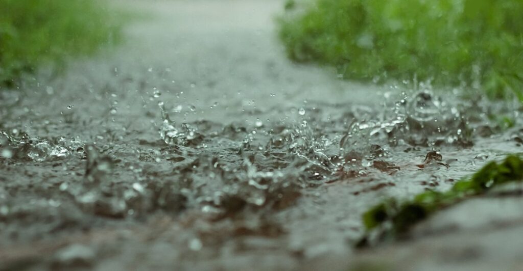 Bulgaria’s October 2025 was rainiest since 1930 – The Sofia Globe