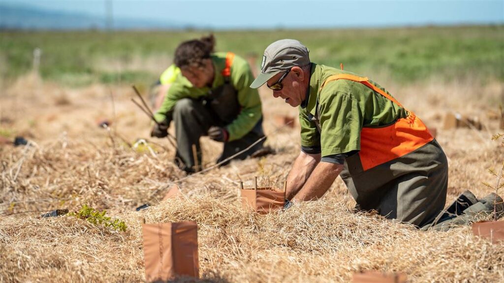 Search for NZ’s next top rangers