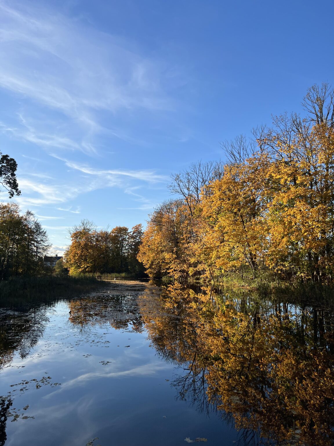 Golden autumn in Latvia