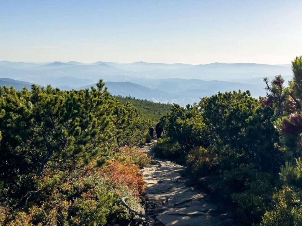 Memories From Babia Góra National Park