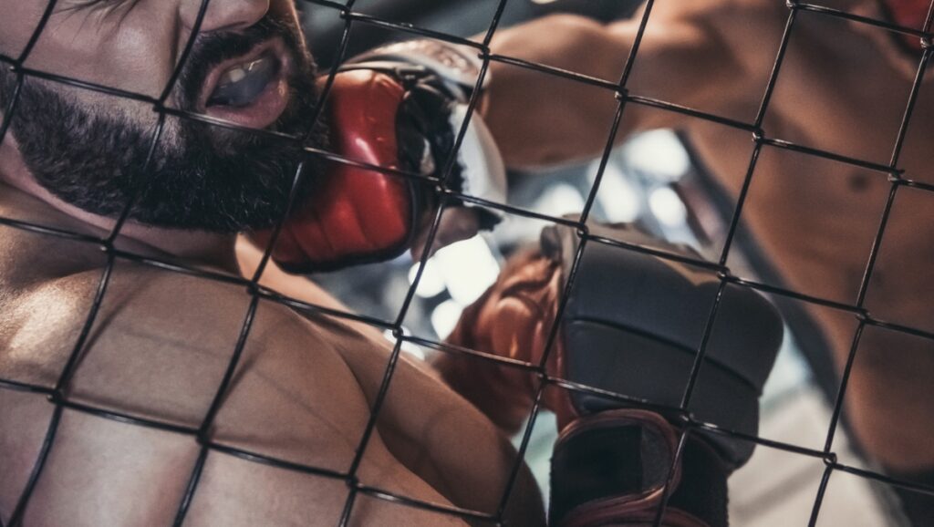 Romania’s Wild MMA Clip: Knockout, Groin Thrust, And Referee Slam Romania’s Wild MMA Clip: Knockout, Groin Thrust, And Referee Slam