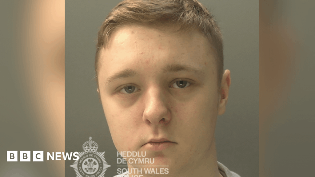 Teen jailed for sexually abusing 37 girls online