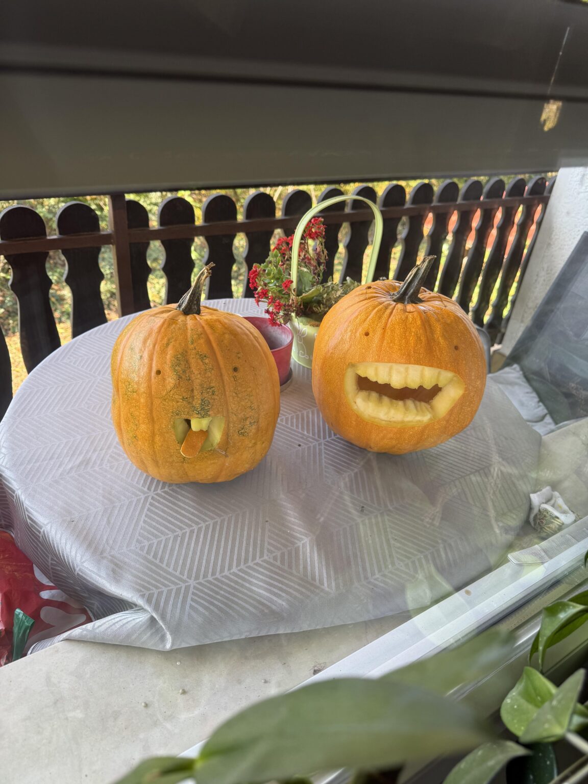 What do you think of my pumpkins?