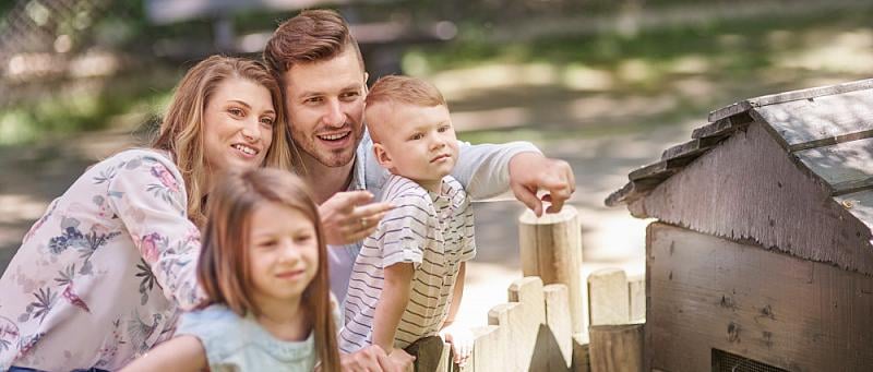 Support for young families in rural areas