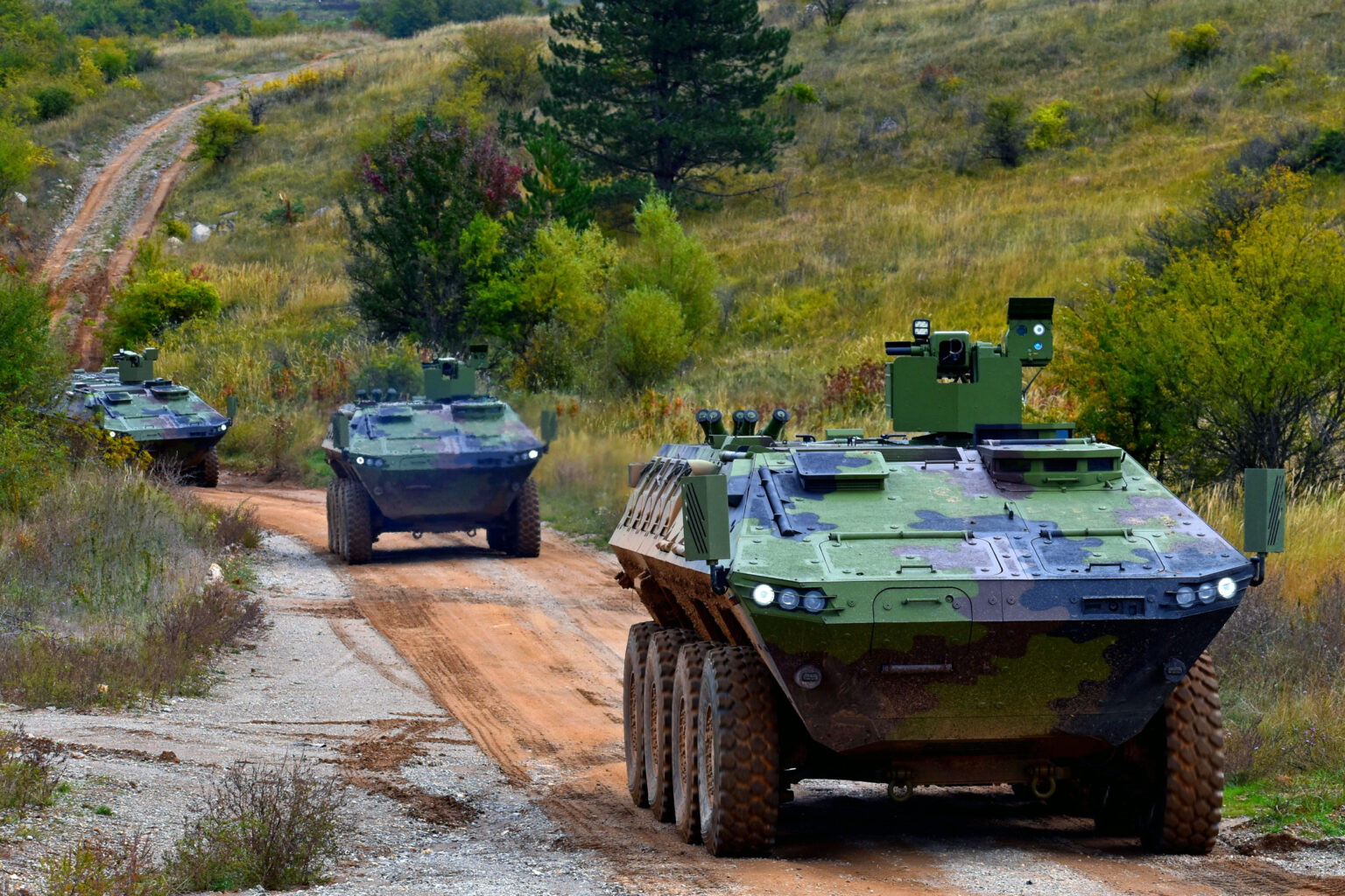 Hungary and Serbia Held Joint Military Exercises