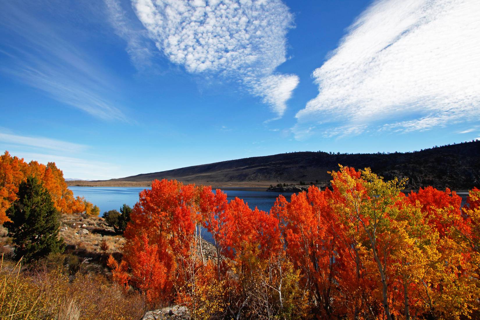A scenic shot of maple trees and mountains on June Lake Loop under a beautiful sky in California in the fall