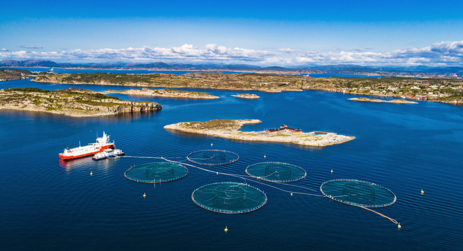 Norway puts up $20m for sustainable aquaculture, feed research