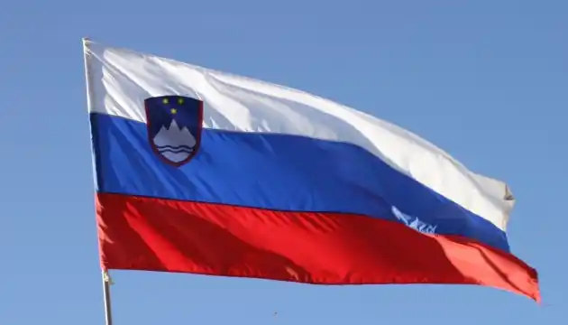 Slovenian Interior and Justice Ministers Resign After Fatal Attack Sparks Public Outcry