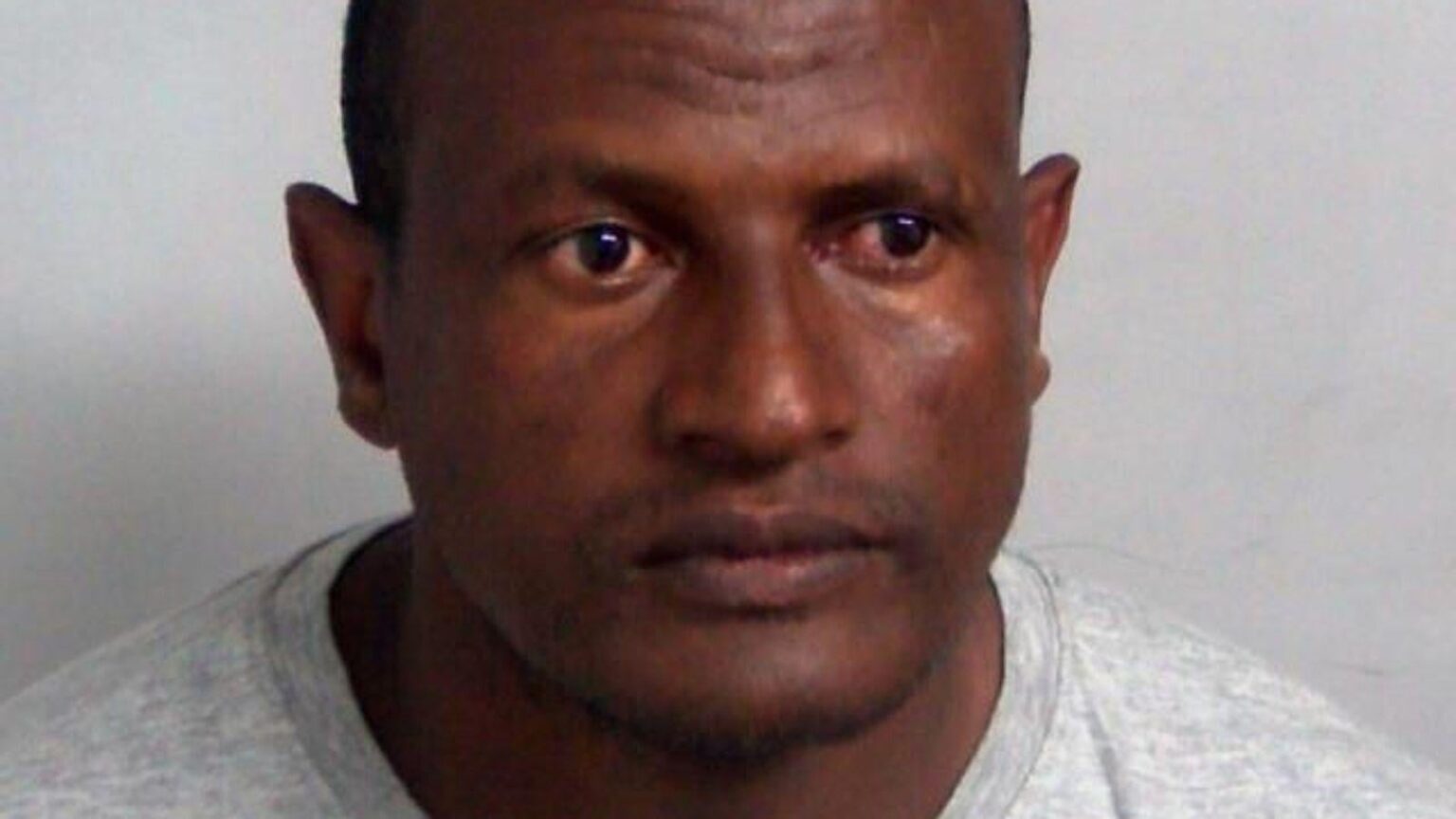 Wrongly-released migrant 'tried to return to prison 4 or 5 times', witness says