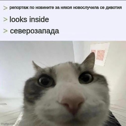 I swear, every time