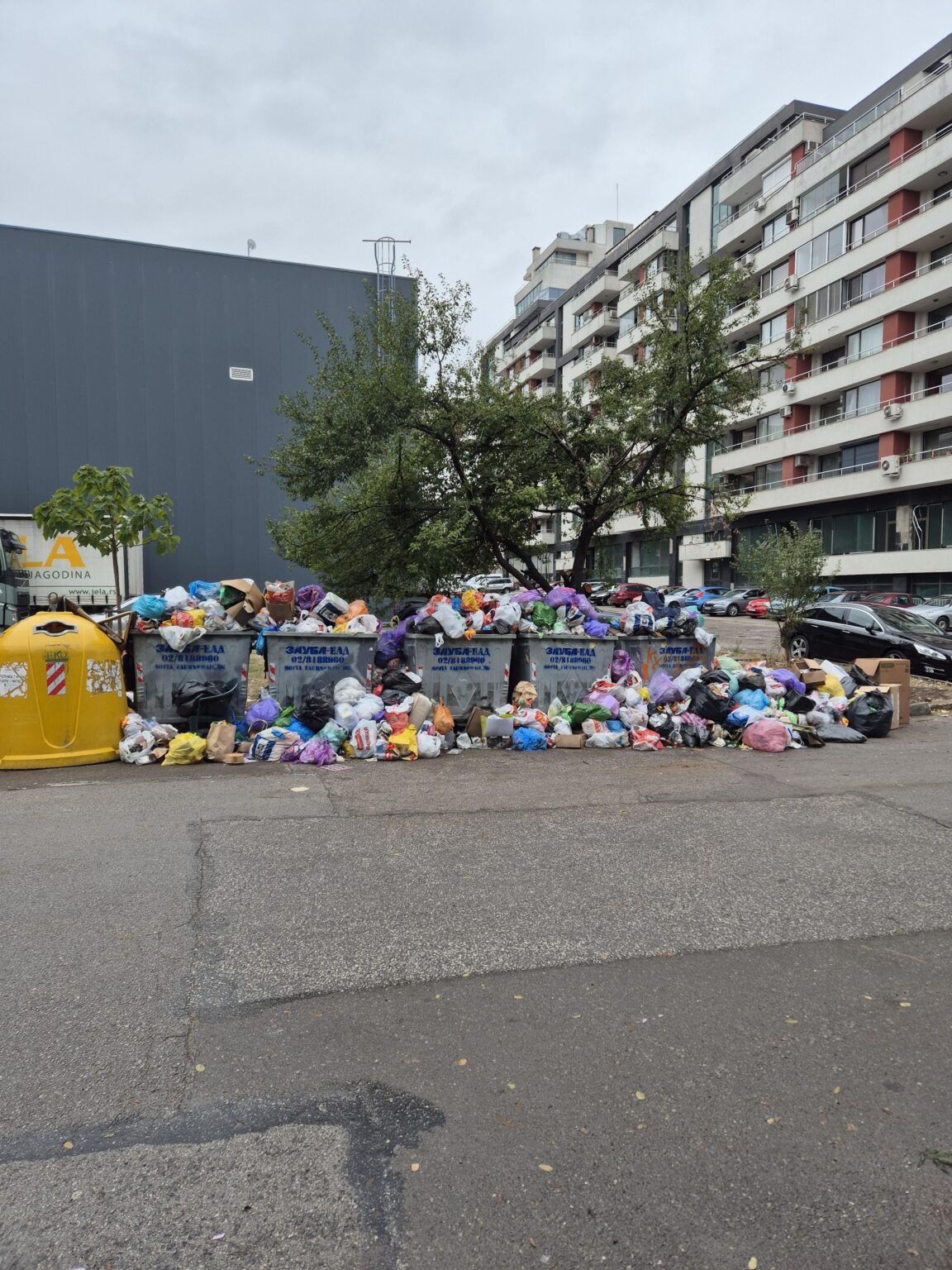 The place of the garbage is in parliament!