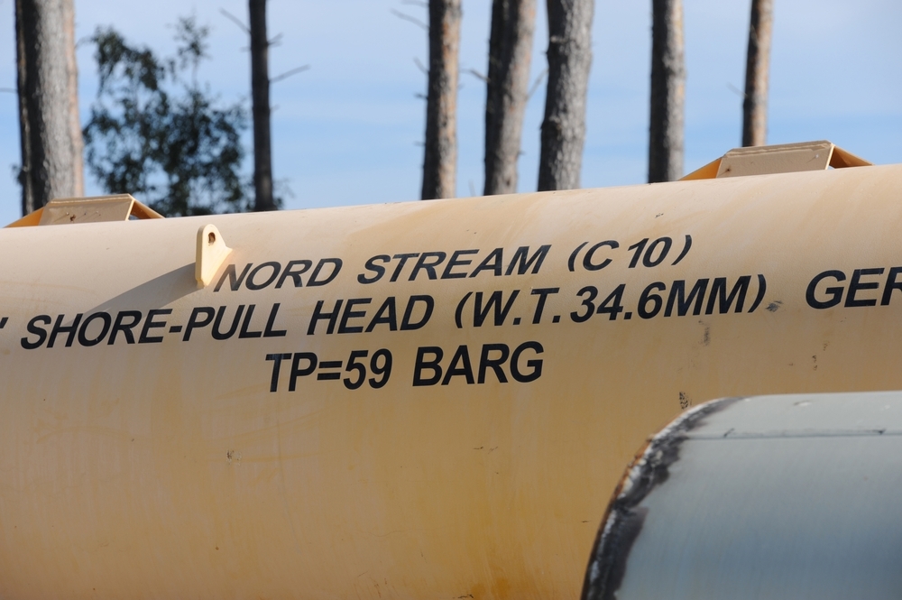 Ukrainian diver detained in Poland over Nord Stream explosions -