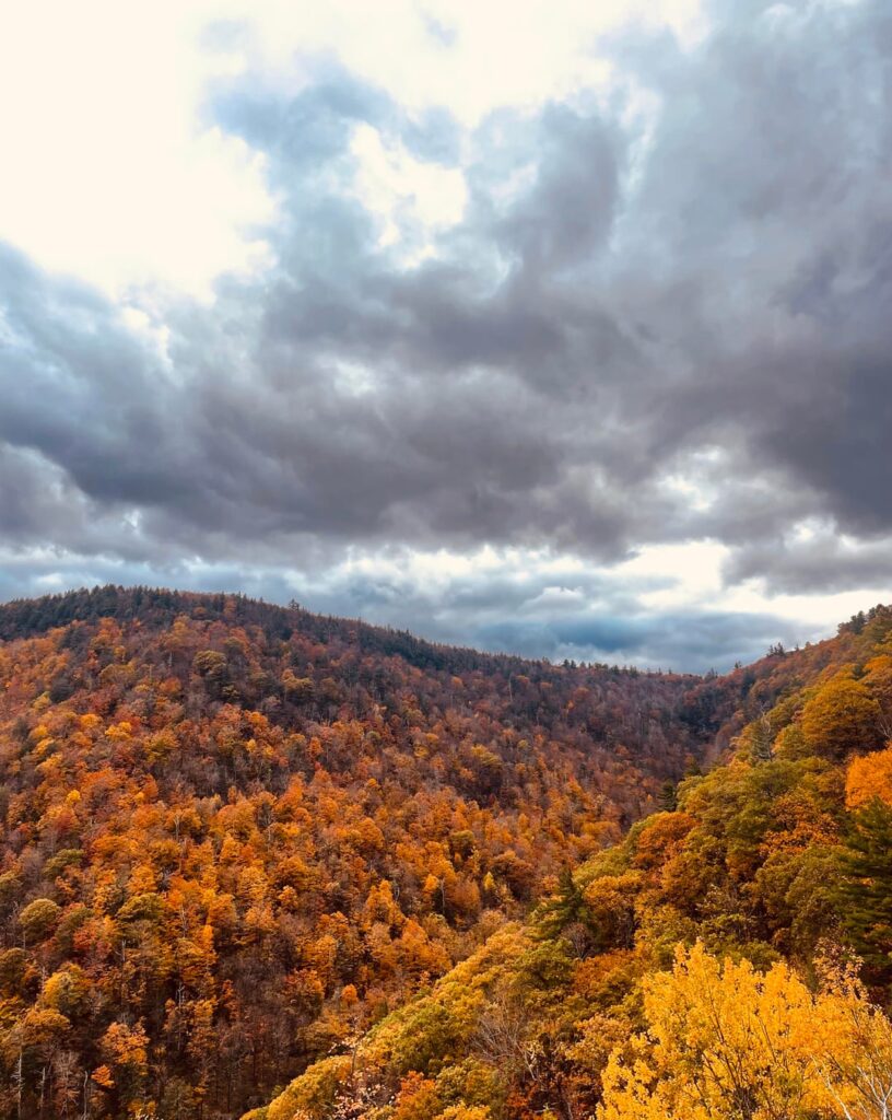 Some fall magic in the Catskills