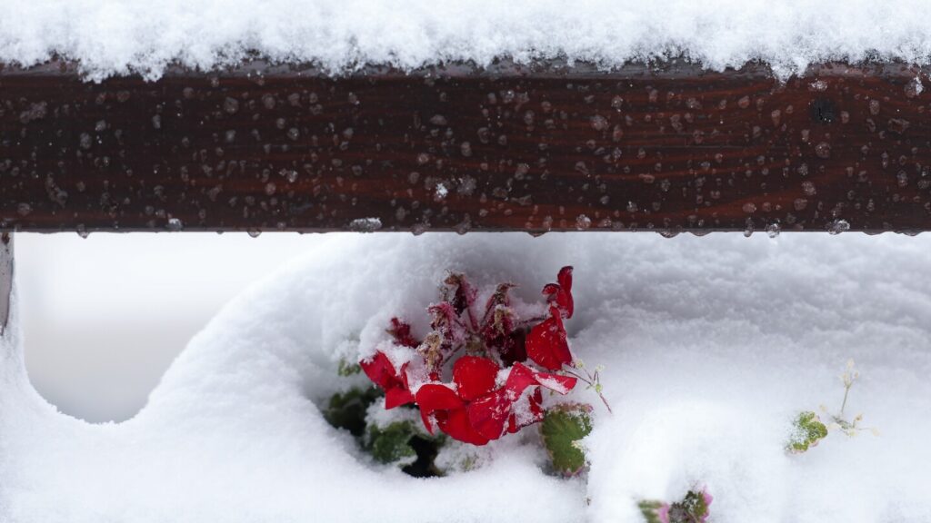 Snow and floods hit Bulgaria and parts of Western Balkans