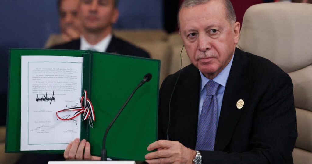 Erdogan opposed Netanyahu’s attendance at summit, Turkish official confirms Erdogan opposed Netanyahu's attendance at summit, Turkish official confirms