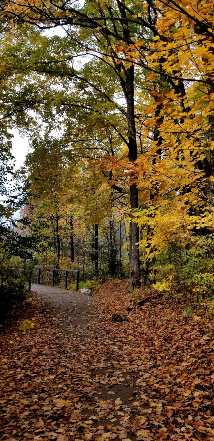 The scent of freshly fallen leaves on the trail reminds me of an earlier time in my life