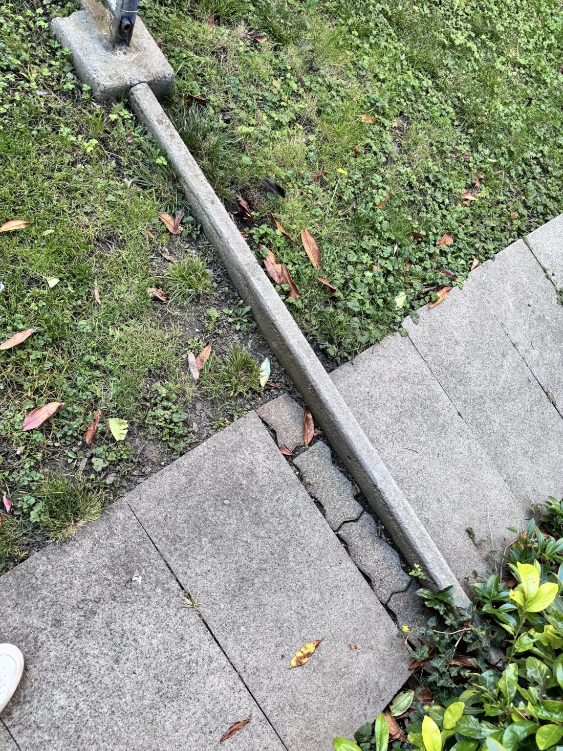 Does anyone know if there is a reason to set a Rasenkante/Trennstein slightly raised on a property in Switzerland