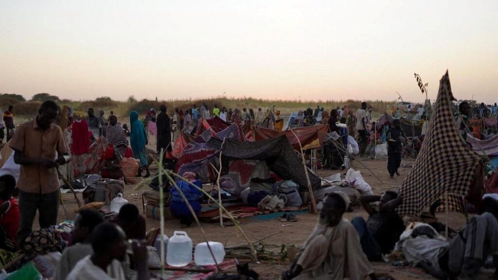 Genocide warnings 'flashing red' after RSF takeover of Sudan's El-Fasher