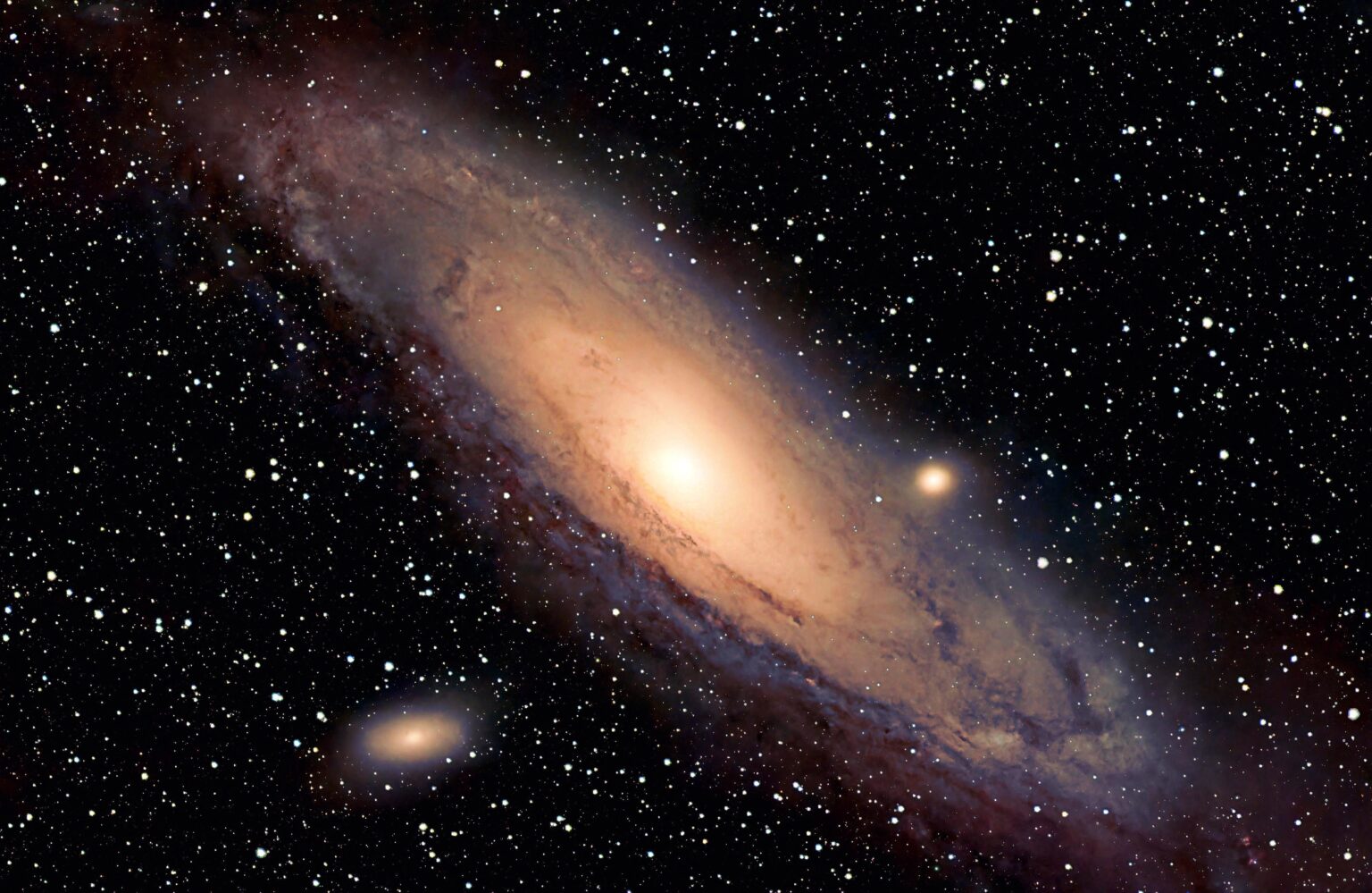 Andromeda From Back Yard