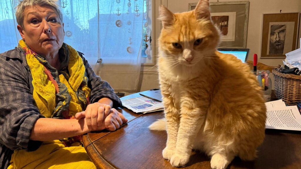 The crazy story of Dominique, fined 1,250 euros because her cat went... to the neighbor's house