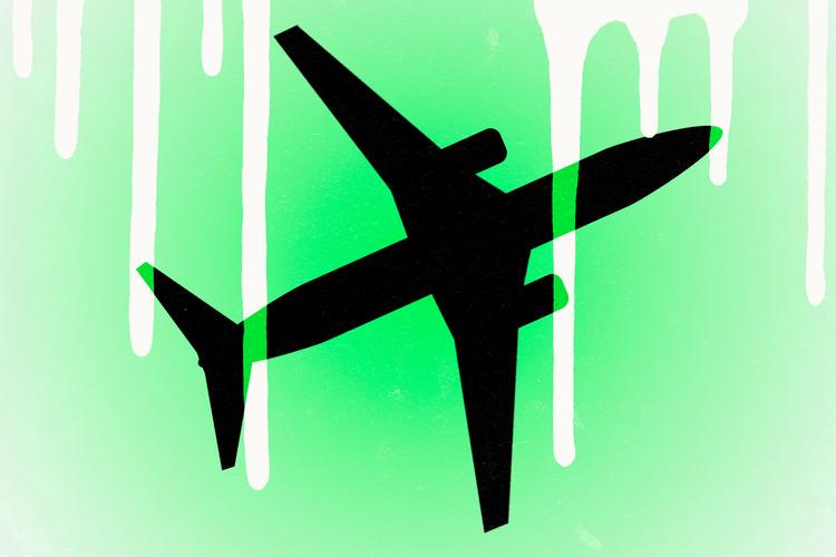 New 'Green' flight route will pig more than if it flew on black fuel