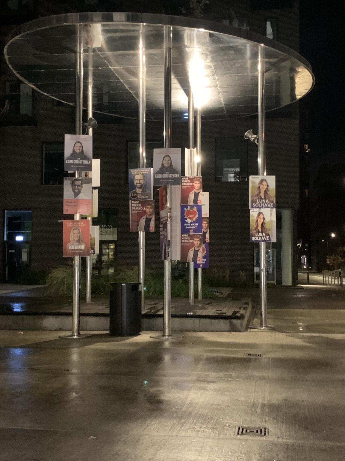 They're pretty, aren't they 🥴 environmental bullshit 😜