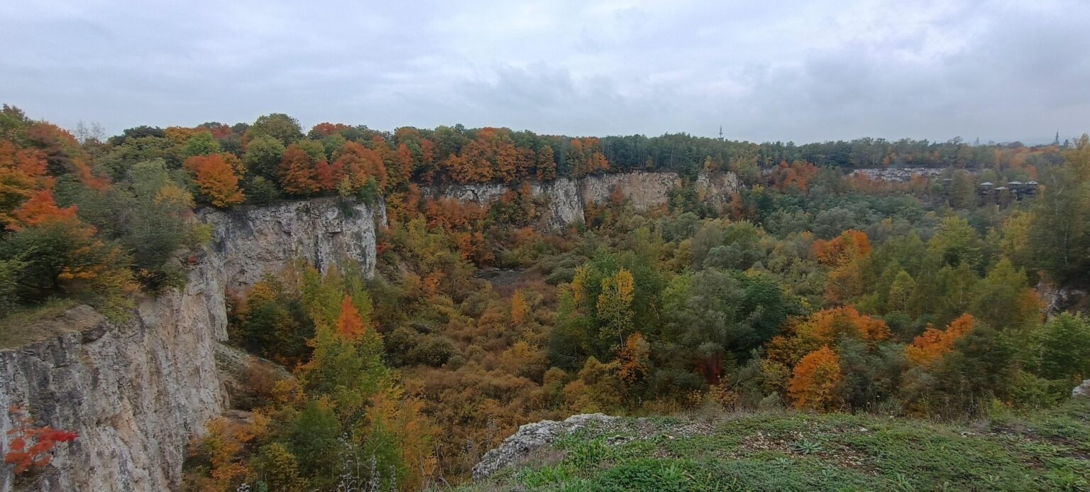 Almost golden Autumn