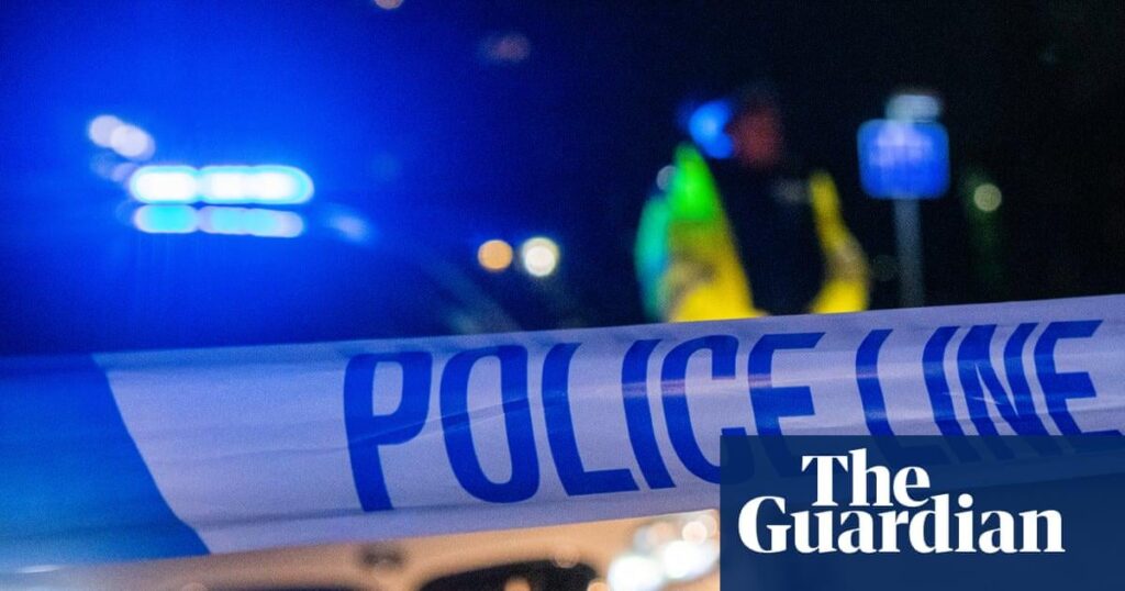 Suicides linked to domestic abuse should be investigated as potential homicides, say UK families