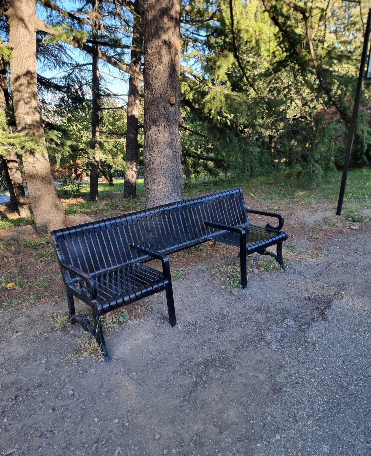 Curious why this bench is so oddly designed? 🤔