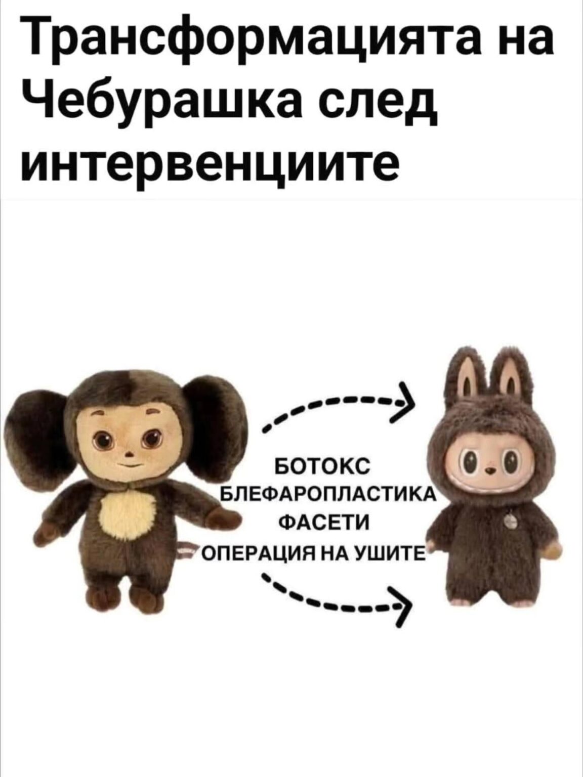 And Cheburashka Ce Okepazi with the plastic surgery, to her!