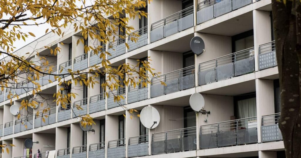 [Aarhus]V profile will stop criminal immigrant families from having children