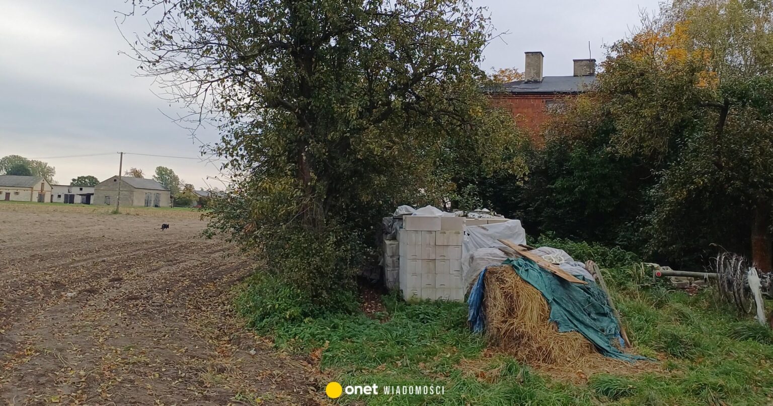 Death of a senior in front of the farm. The autopsy indicates a dog attack