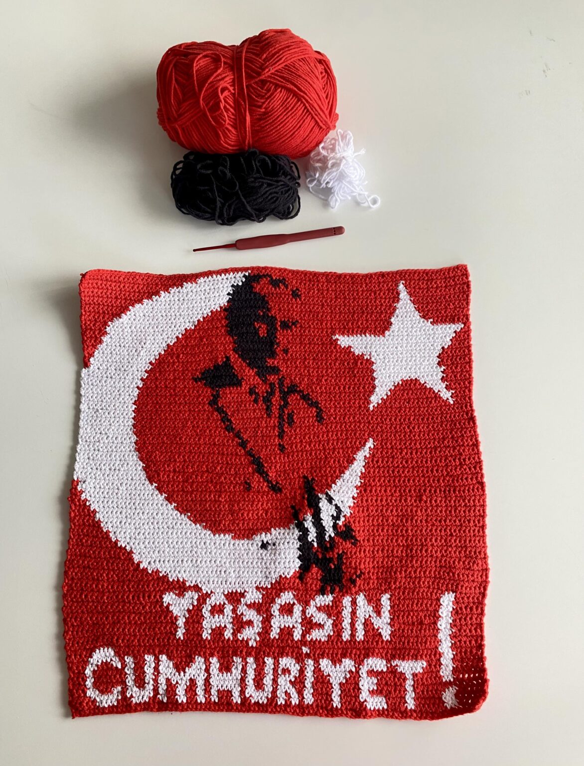The poster I knitted for October 29th.