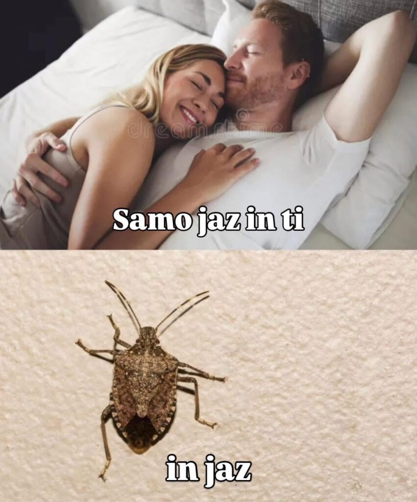 Seasonal jazz