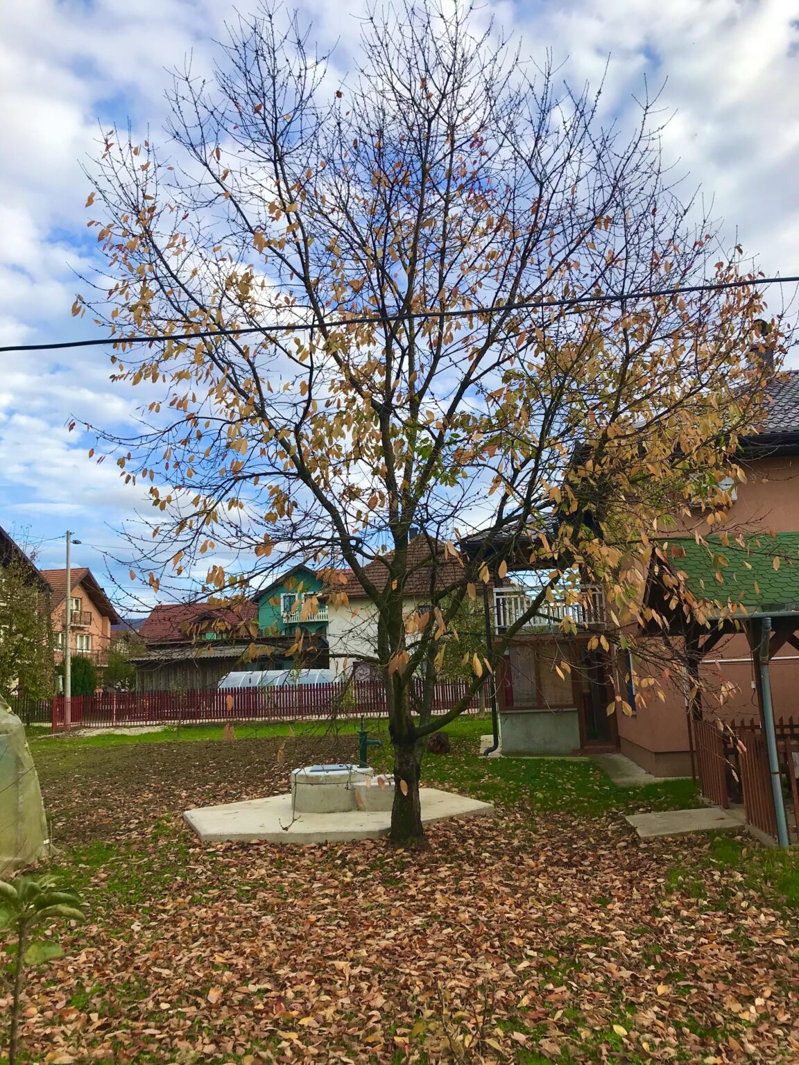 Beautiful autumn in my area.
