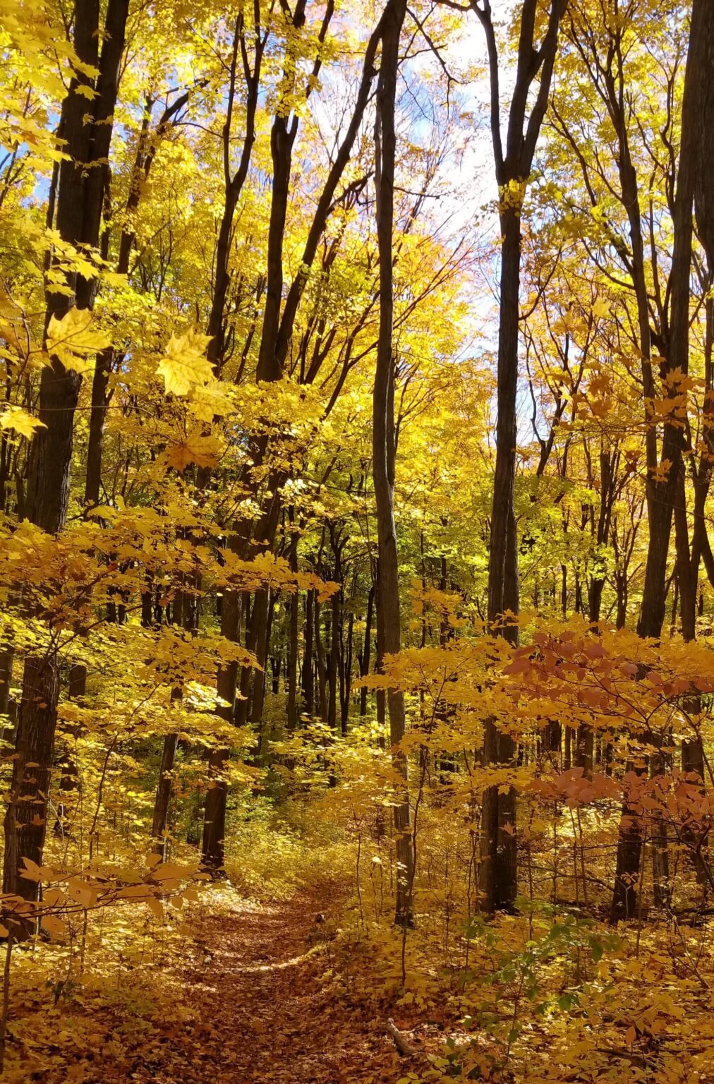 The sights sounds and scents of Sunday on the trail