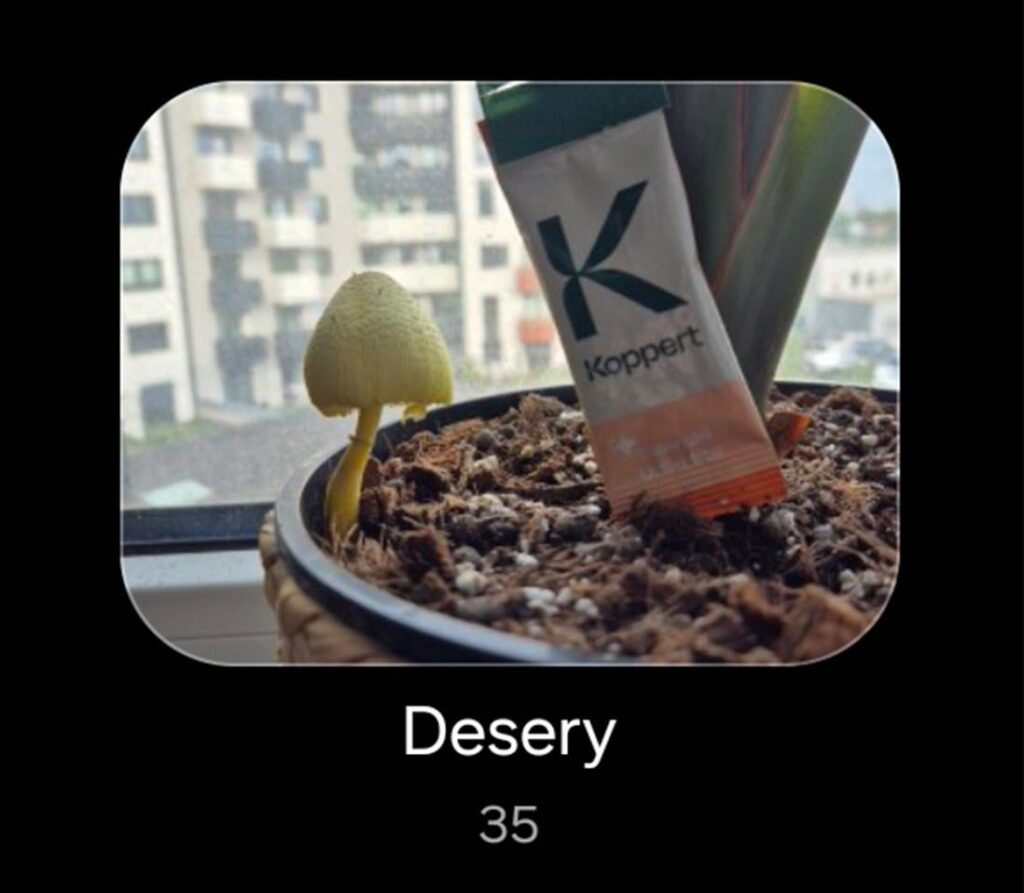 Automatic categorization of photos on my phone works quite well. Enjoy your meal!