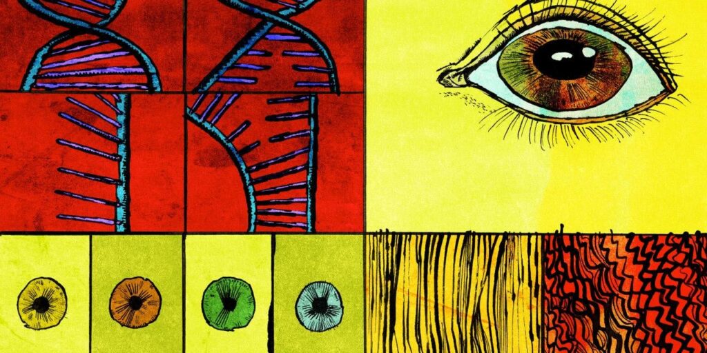 Genetically Engineered Babies Are Banned. Tech Titans Are Trying to Make One Anyway.