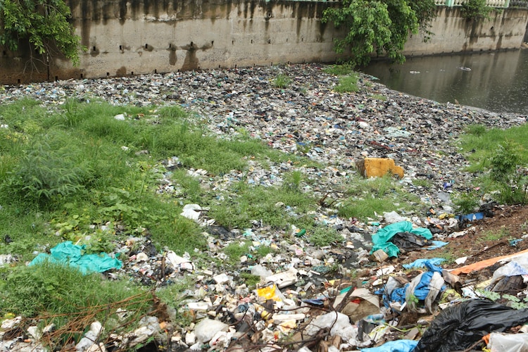 Plastic waste cumilated over Cooum river in Chennai. (File Photo)