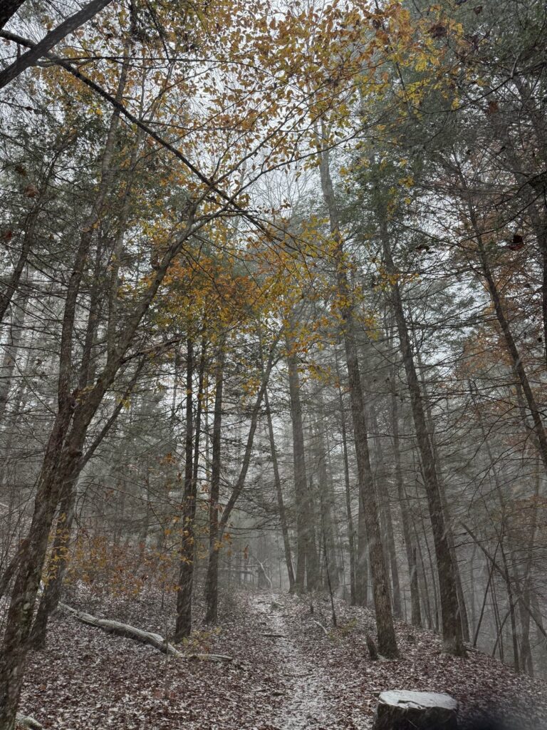Autumn snow in middle TN