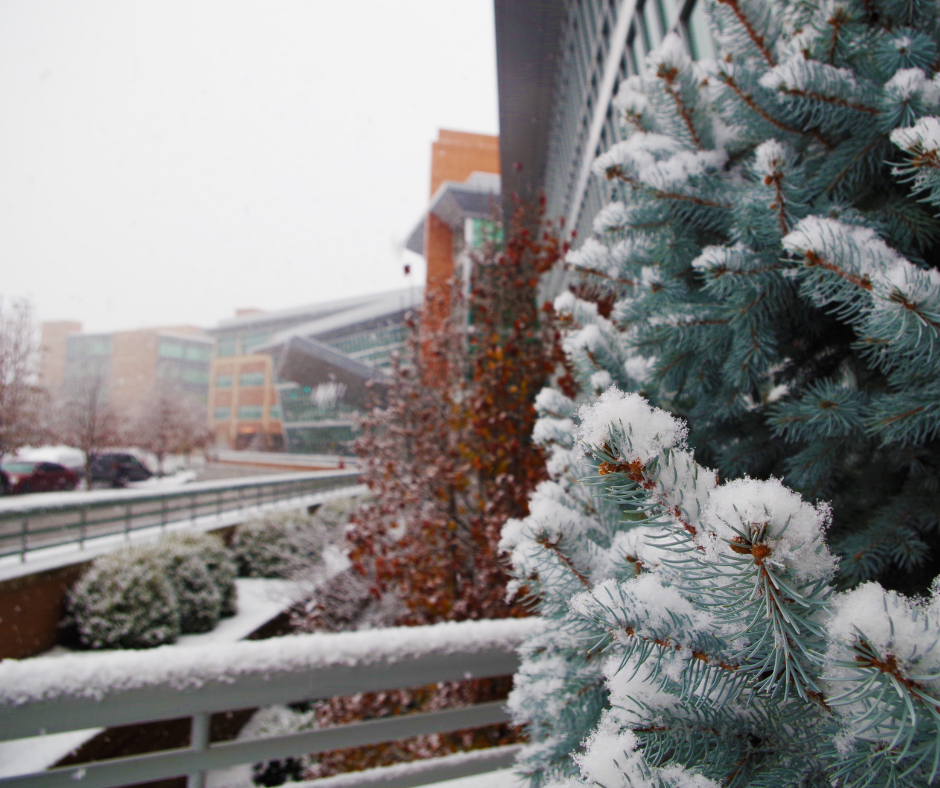 Image: North Carolina State Bureau of Investigation