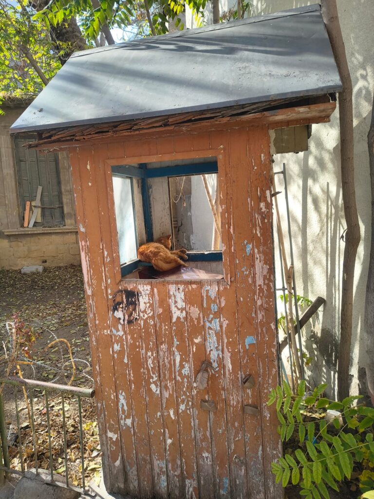 New sentry post guards in Old Nicosia