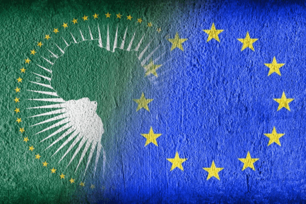 AU, EU to Strengthen Health Partnership Ahead of G20 Meeting – G20 South Africa