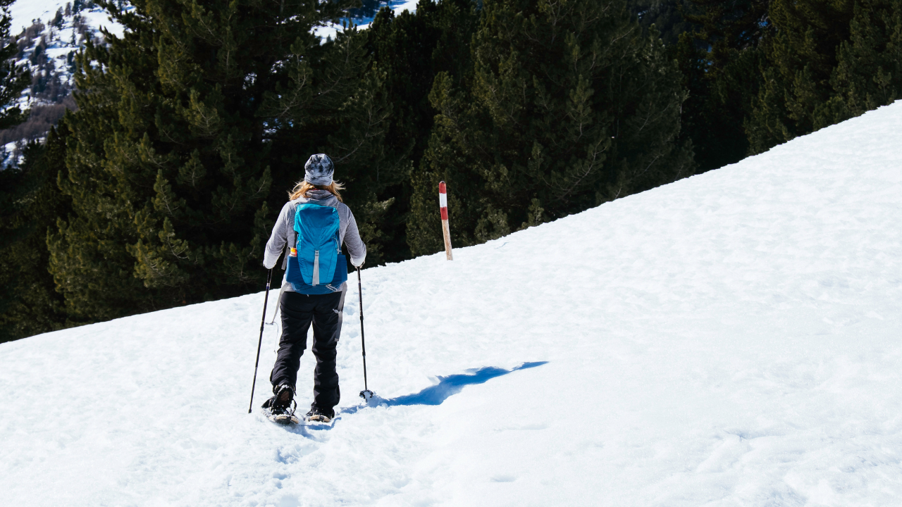 Snowshoeing in Tirol
