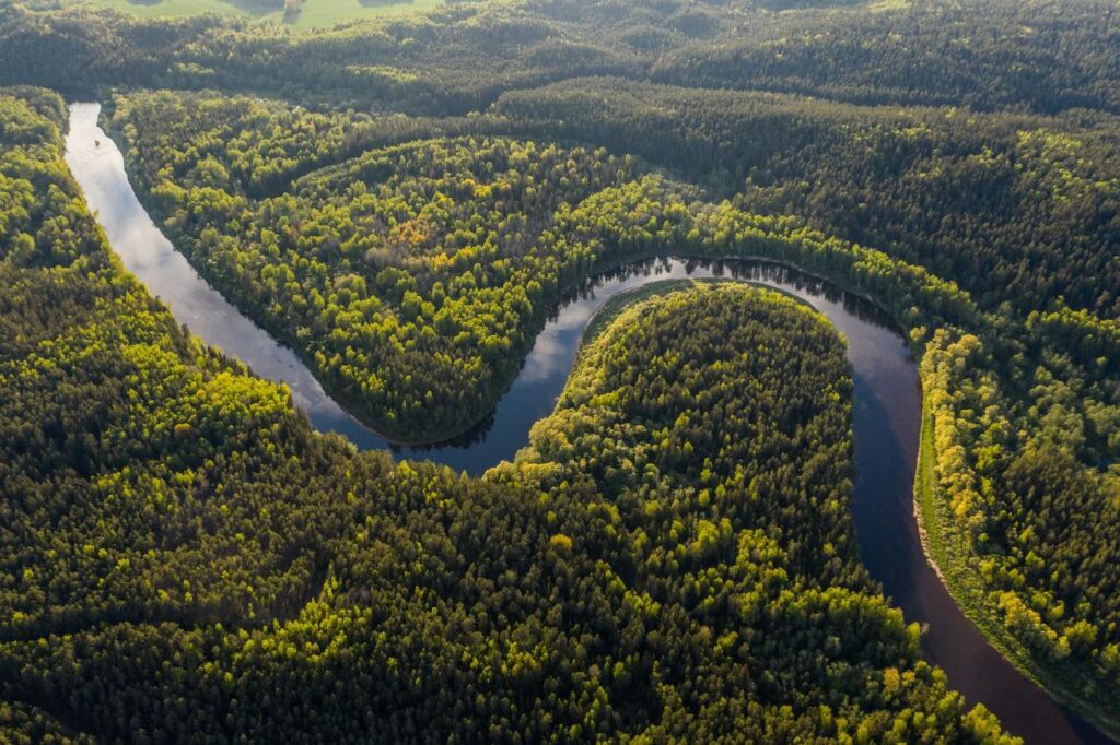 Switzerland's donation of nearly $6 million to the Amazon Fund to strengthen the preservation of the world's most important rainforest