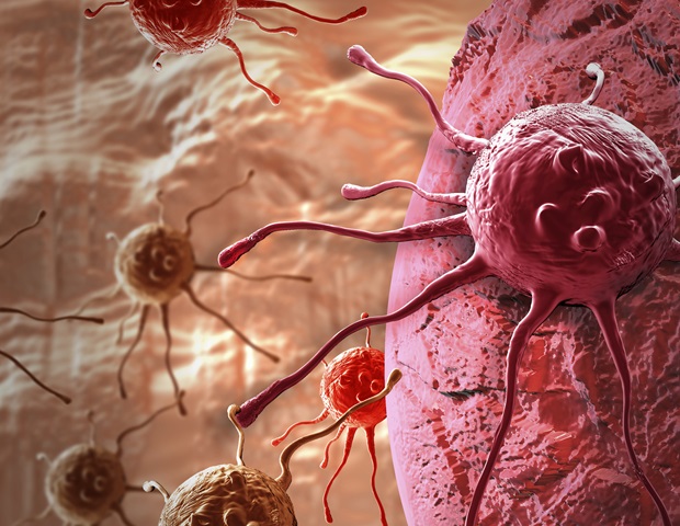 New CellTrap technology reveals how single immune cells attack brain tumors Scientists uncover mechanism driving efficient protein deacetylation by Sir2 enzyme