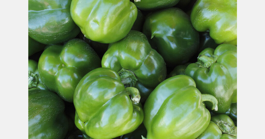 Spain seizes 20 tons of hashish in pepper shipments