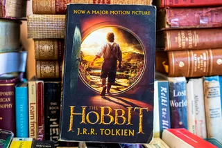 Shutterstock by Erman Gunes