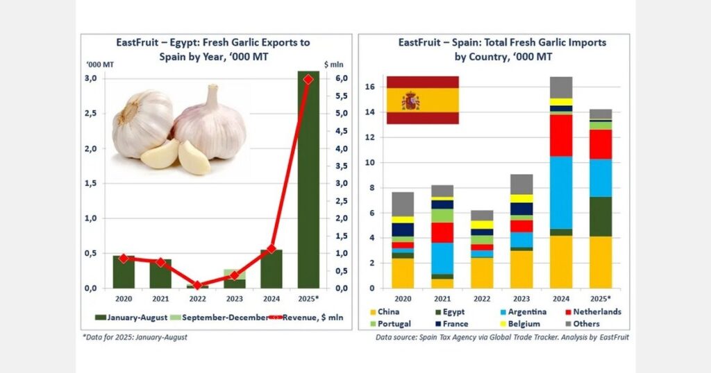 Egypt boosts garlic exports to Spain as local output declines